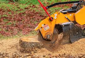 Mulching Services in Plains, MT