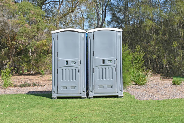 Best Lawn Pest Prevention  in Plains, MT